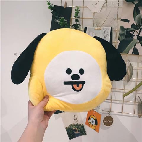 BT21 BTS ALL CHARACTERS CUSHIONS 35CM