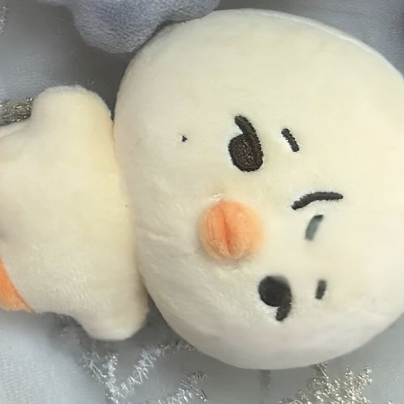 CORTIS MINI PLUSH